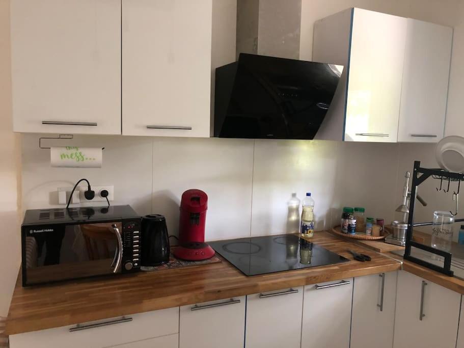 Logement Entier Entree Autonome Ch,Sdd,Cs Privatives Aussonne Εξωτερικό φωτογραφία