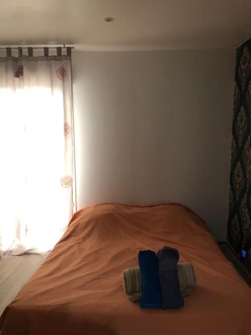 Logement Entier Entree Autonome Ch,Sdd,Cs Privatives Aussonne Εξωτερικό φωτογραφία